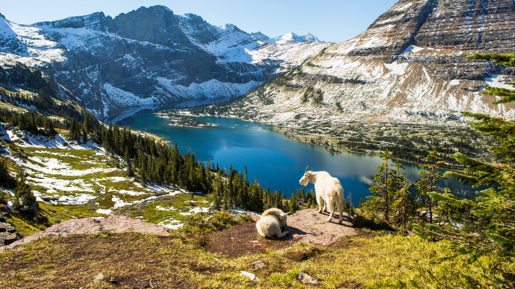 Chronique Carte Postale Montana C Est Vraiment Un Tat Qui Me Fait