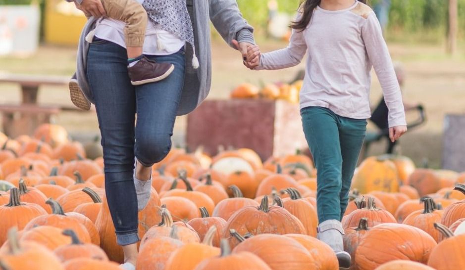 5-great-places-to-go-pumpkin-picking-the-beat-92-5