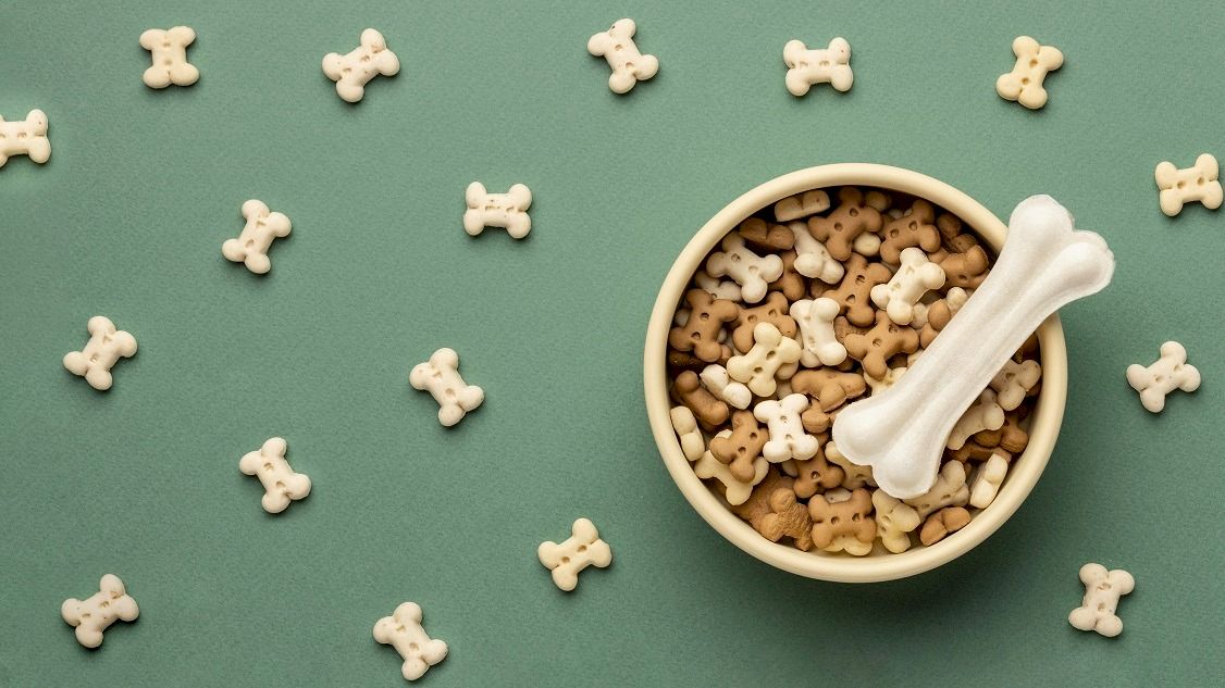 Complément alimentaire pour chien et chat pour ration ménagère