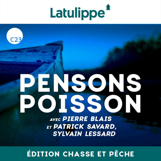 La chasse à l'orignal