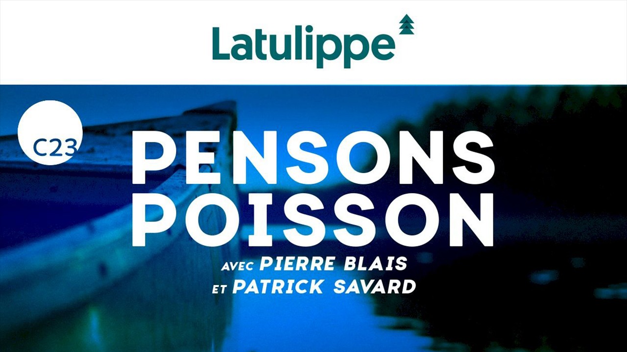 Quelles Sont Les Bonnes Techniques Adopter Selon Le Niveau D Eau De Notre Sortie De P Che