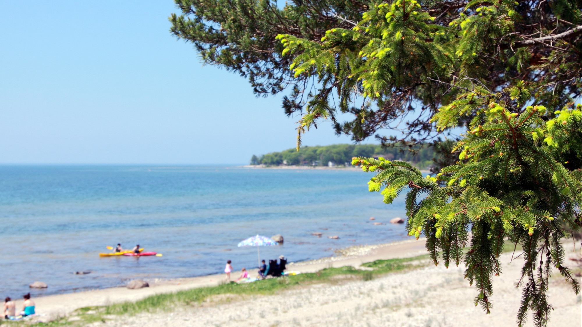 The Hoax That Threatens Wasaga Beach: A Favorite Vacation Spot for Quebec Tourists