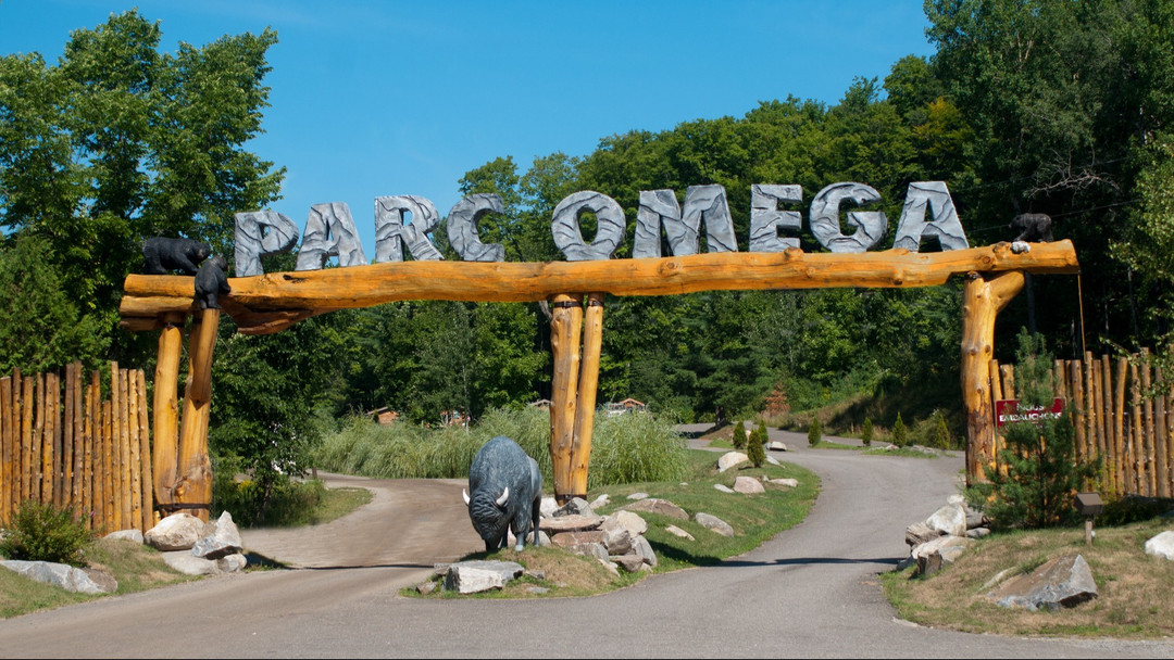 La prison pour un guide de chasse qui a tu des animaux du Parc