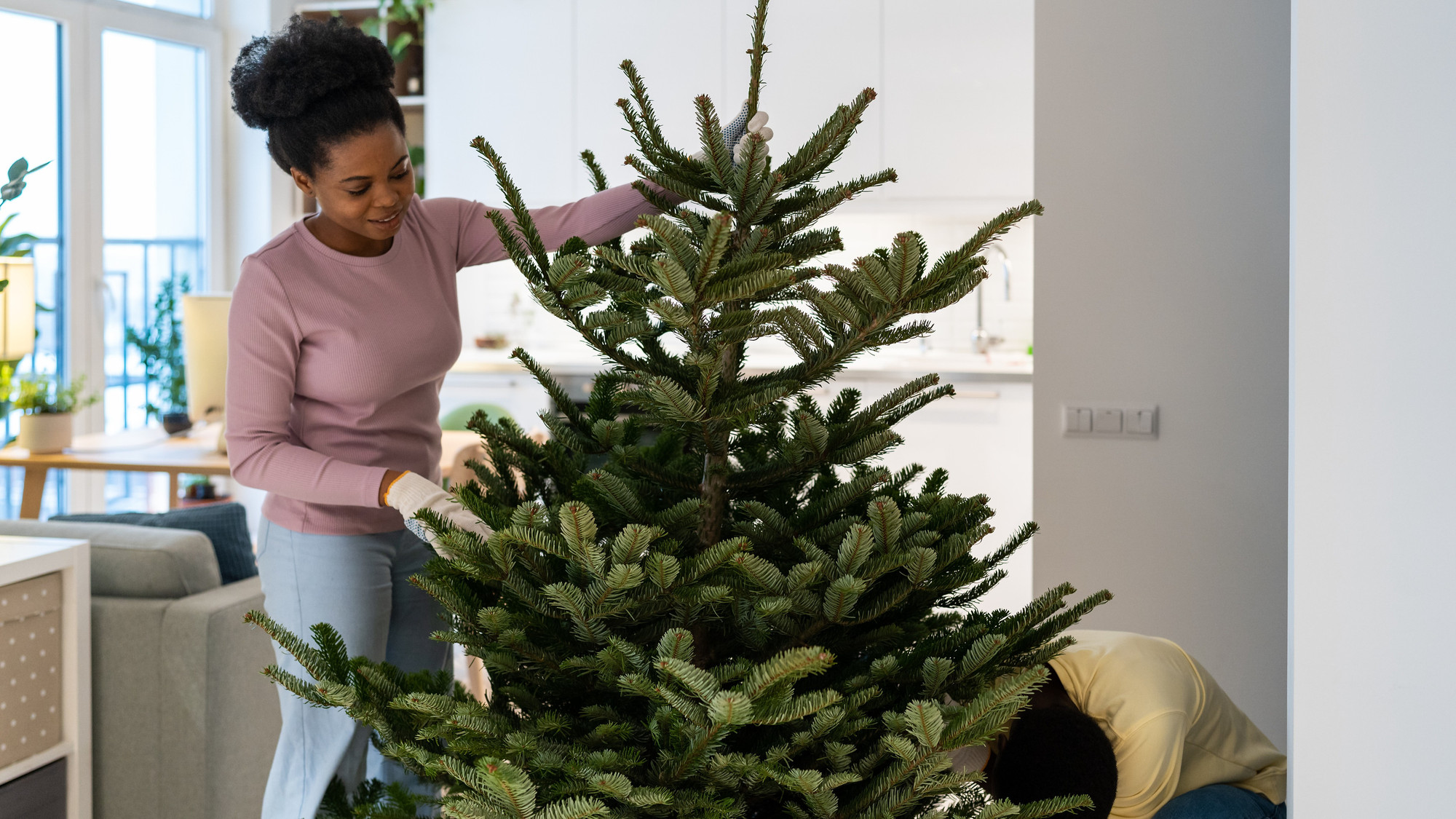 How Where To Dispose Of Your Christmas Tree In Montreal The Beat 92 5   Article 1704307588386160 Ori 