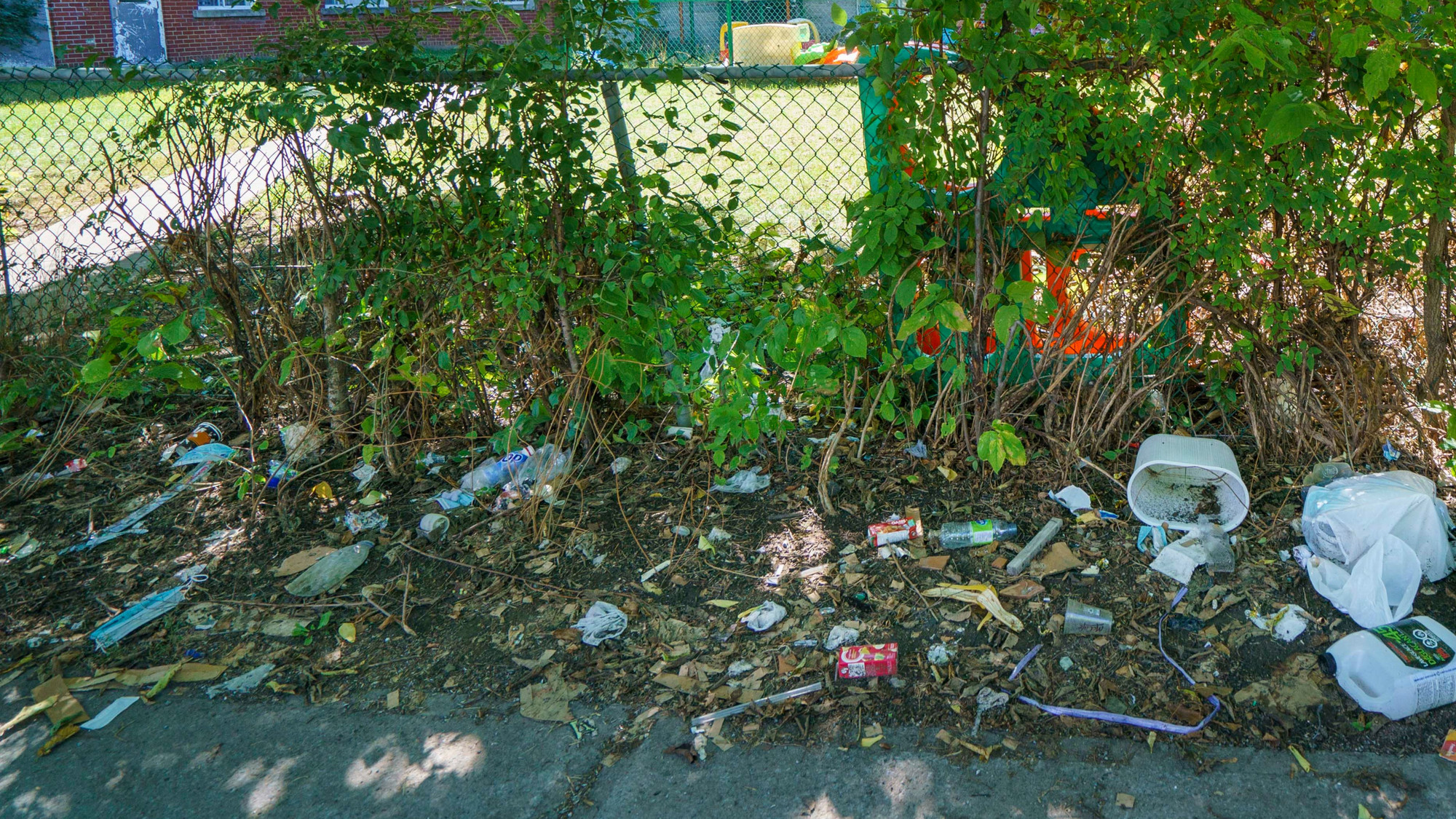 Fonte hâtive de la neige La Ville de Montréal a entamé le nettoyage