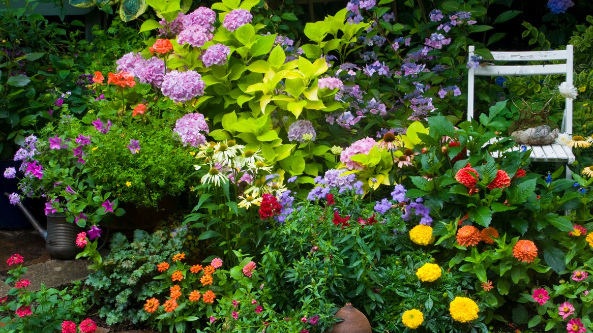 C'est le temps de préparer son jardin — 98.5 Montréal