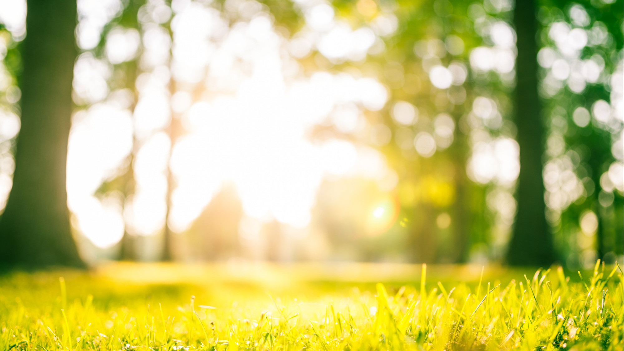 Météo | Des records de chaleur dans les prochains jours? — 98.5 Montréal