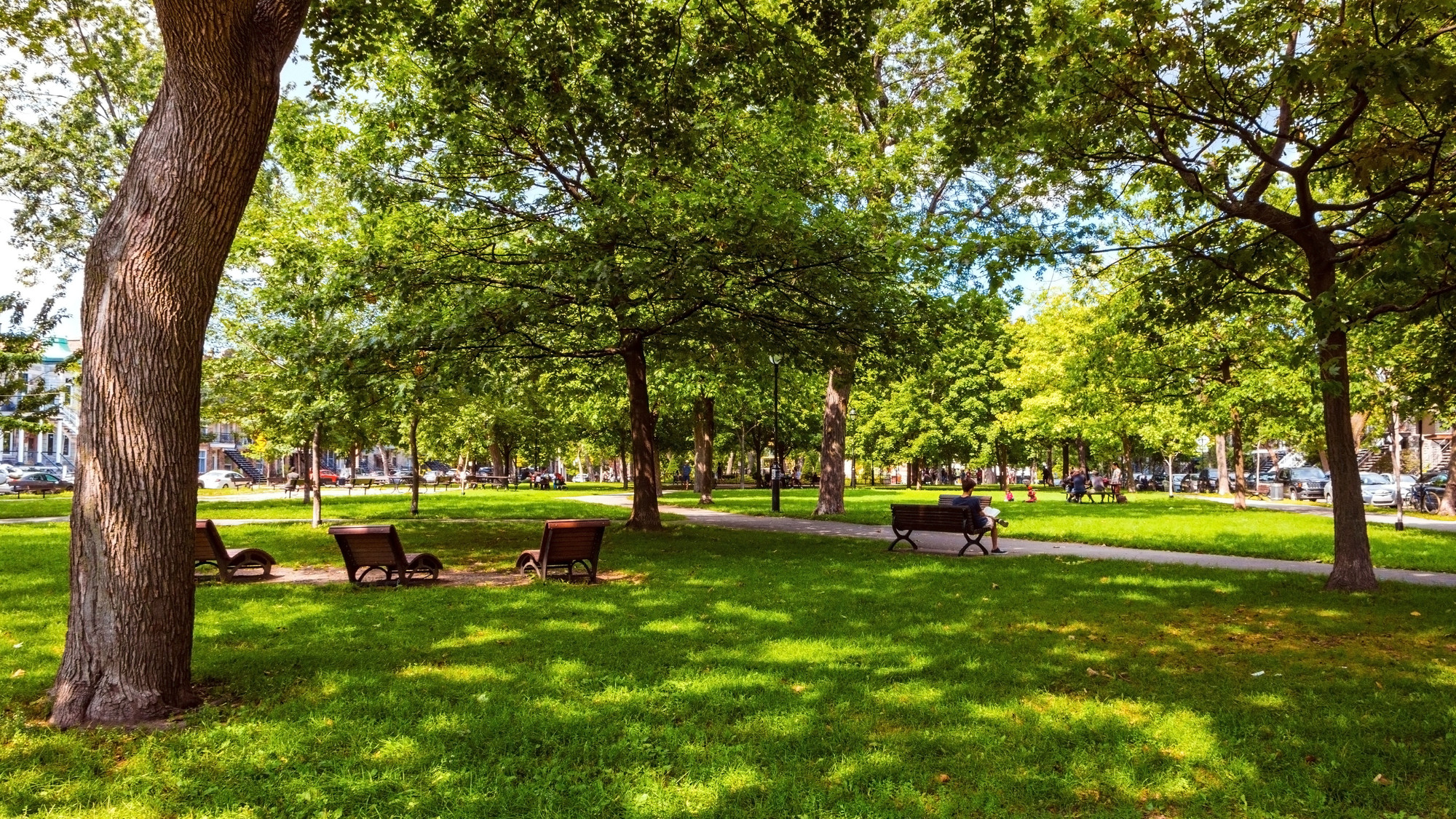 Montreal Makes the Top 20 of the World’s Best Cities for Green Space!