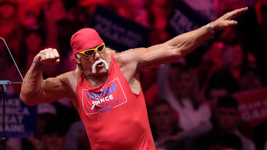 FIGURINE DE LUTTE Hollywood Hulk Hogan WCW NEUF AVEC ÉTIQUETTE NITRO
