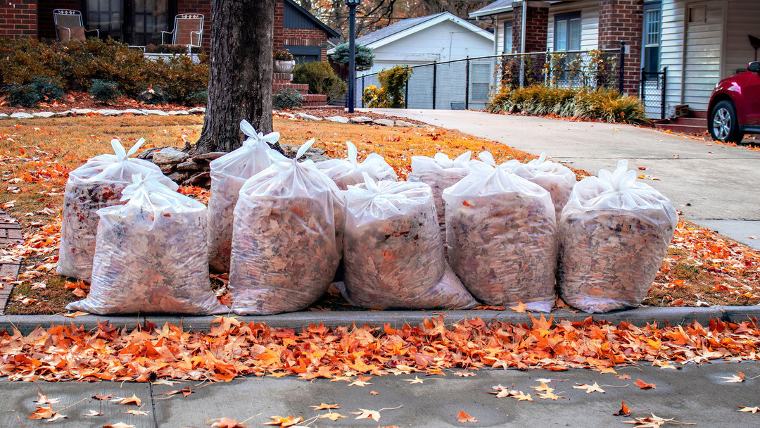 Sacs à résidus verts remplis de feuilles